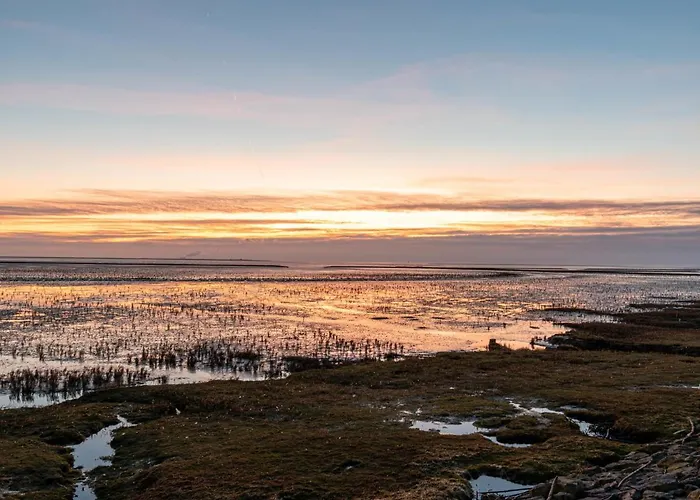 Seebaer By Interhome Appartement *